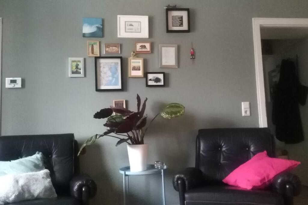 Great Cozy Self Check In Apartment