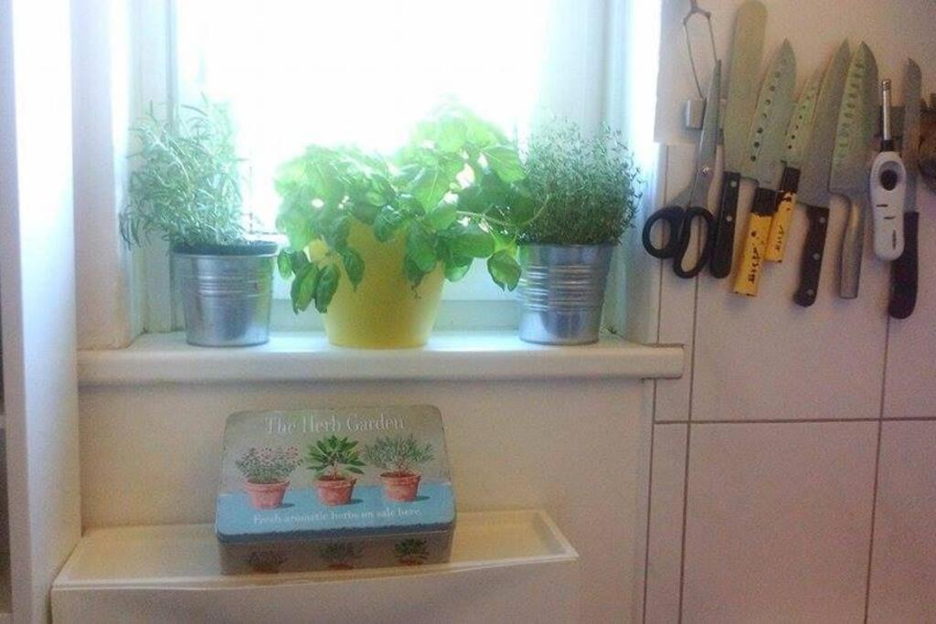 Apartment Great Cozy Self Check In